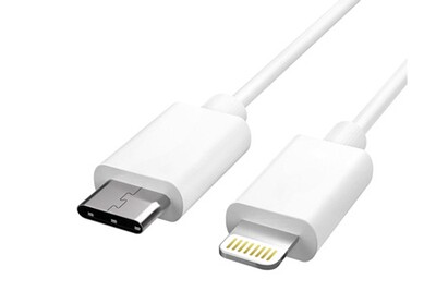 câble rapide lightning  embout USB C (iphone)  x 2
